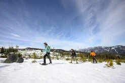 MSR Revo Trail 25 In Snowshoes|-|Raquettes Revo Trail 25 Po -Msr MSR 10617 7E 7ELifestyle1 20Marine 20Fog