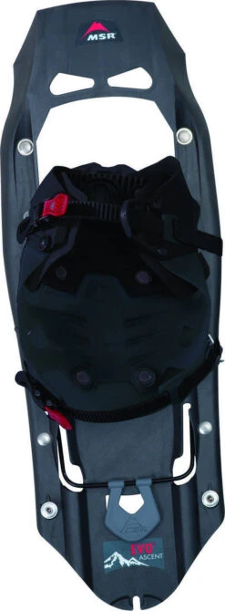 MSR Evo Explore|-|Evo Explore