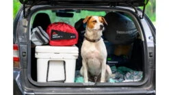 MSR Habiscape 4 Tent -Msr opplanet msr habiscape 4 tent glacial blue 4 11595 av 14