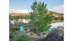 MSR Habitude 6 Tent -Msr opplanet msr habitude 4 tent blue 13128 av 5 1